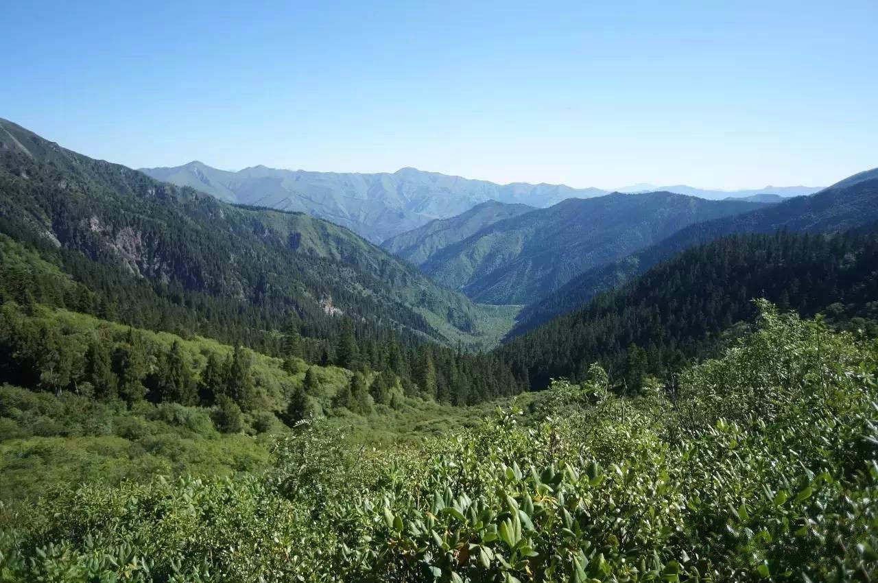 阿夏乡位于迭部县境内西南部,全境地势西南高东北底,山高谷狭.