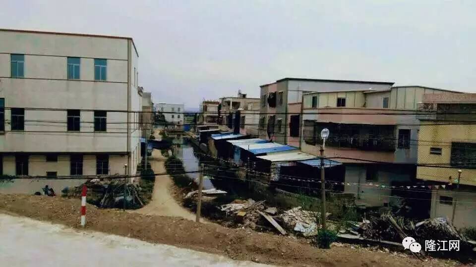 美村孔美村特产红薯基地姜思路孔美村隶属于广东省揭阳市惠来县隆江镇