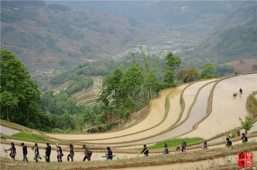 红河州有多少人口哪个县最大_红河州金平县图片