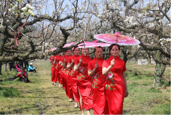 新沂梨园之春第三届春山花海旅游文化节隆重开