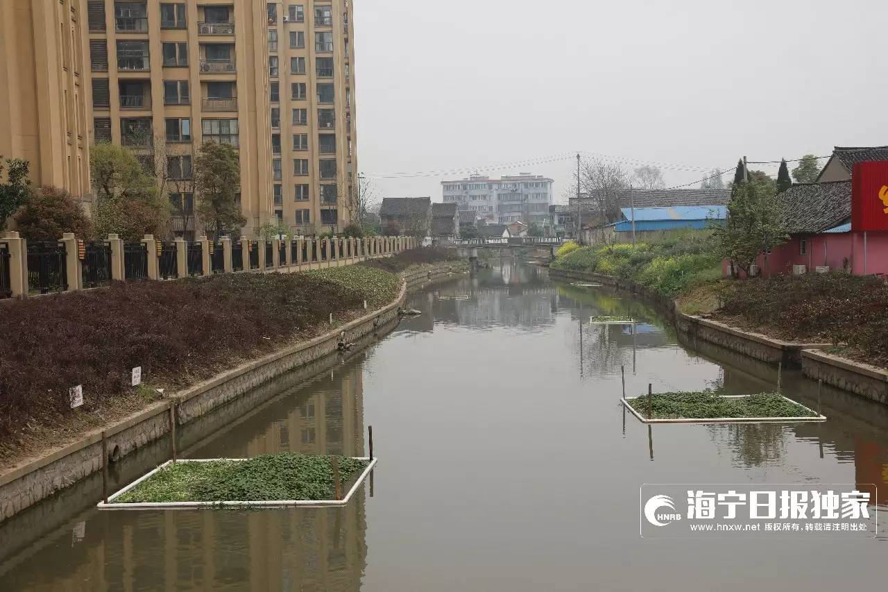 海宁许村人口_海宁许村嘉宇景润苑强势来袭 图文解析 售楼处在哪 电话多少