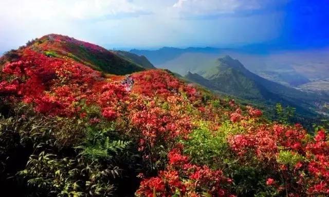 丹寨县有多少人口_丹寨县龙泉山