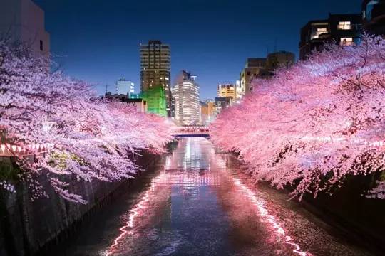 地点:东京都目黑川是由北泽川和乌山川在世田谷区三宿附近合流而成