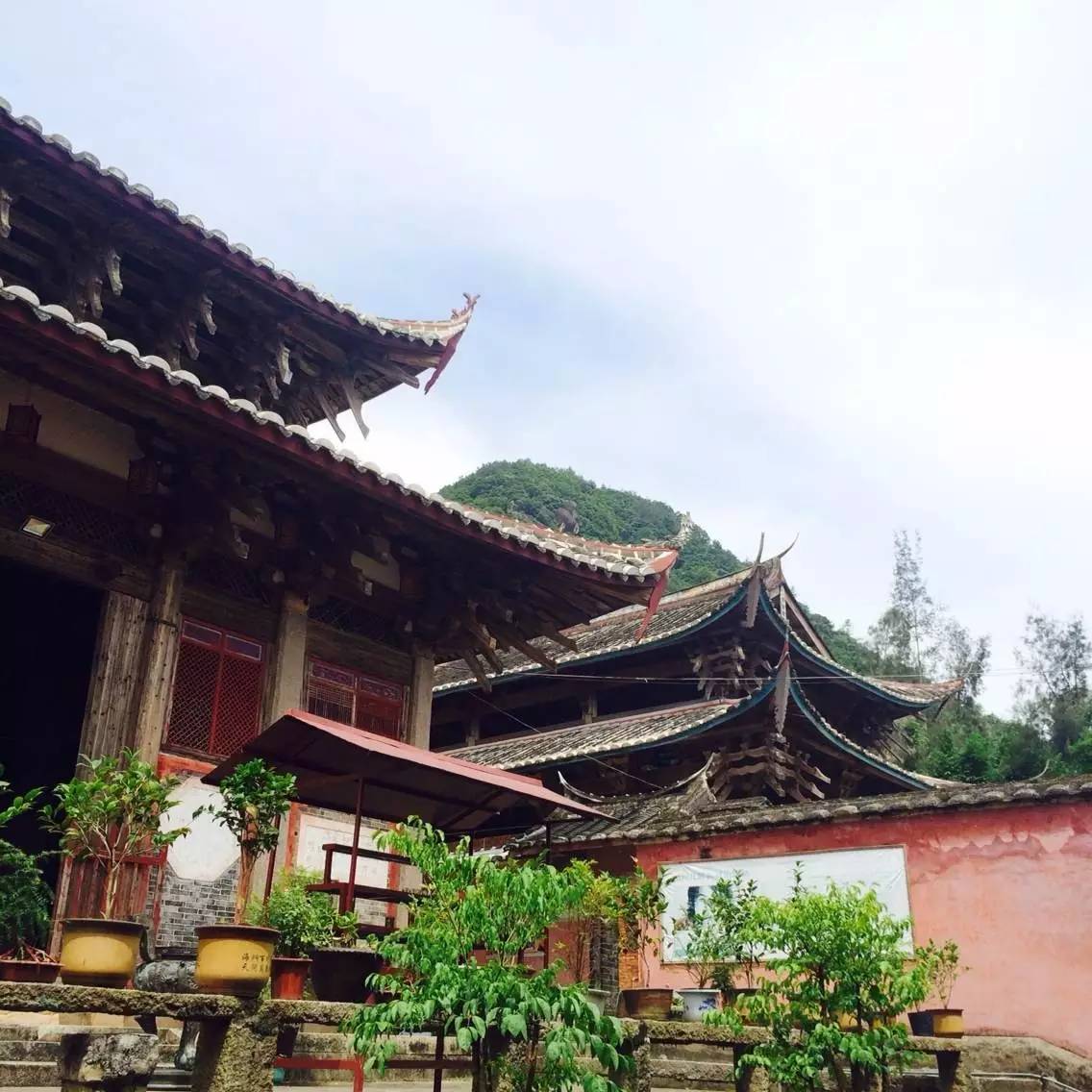 [i·宁德] 春风又拂狮峰寺,重拾福安小时候的味道