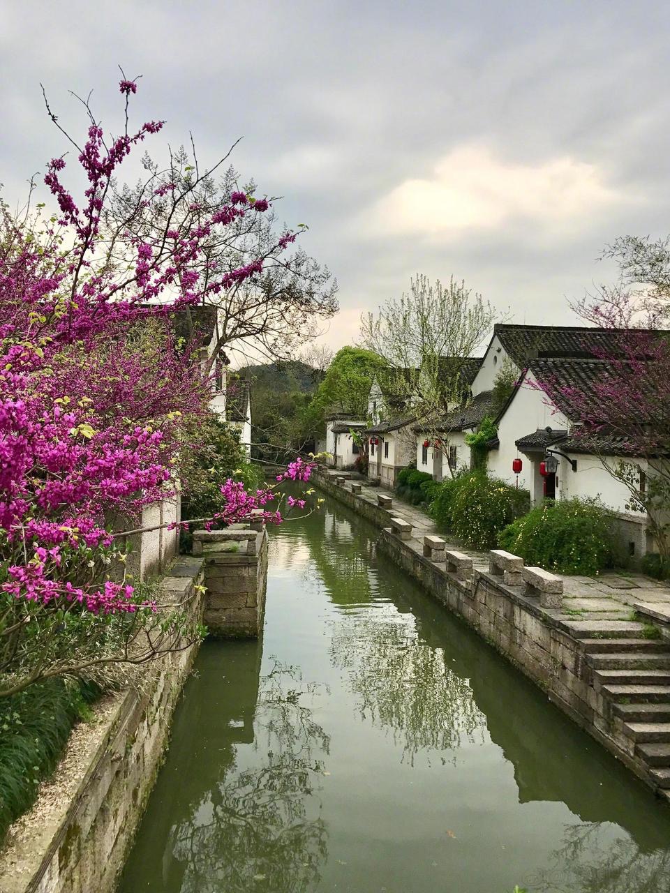 春天的江南古镇就是美丽