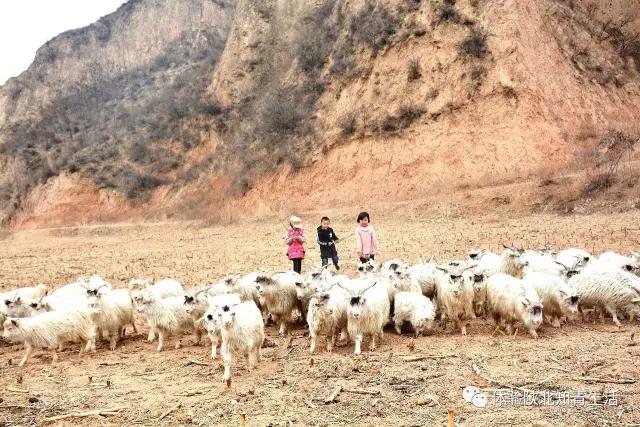 变形计报名,体验生活,体验陕北农民淳朴生活.