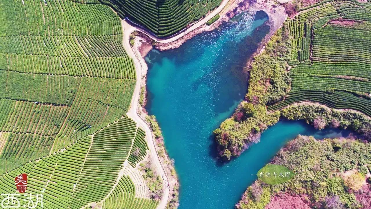 每个转塘人都该收藏这张图!龙坞最全旅游地图来了