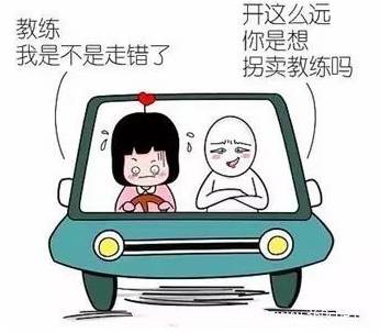 防范"马路杀手"人人有责,请珍惜你的这个决定