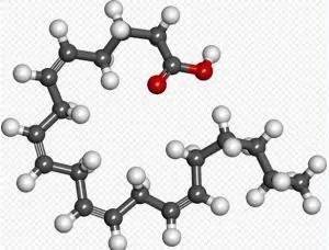 膳食中花生四烯酸是年龄相关性神经退行性疾病的一种危险因素:潜在