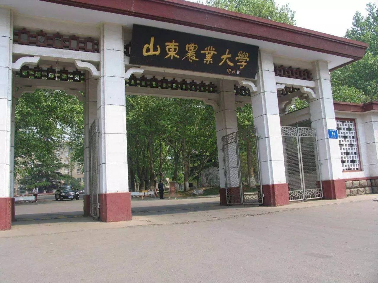 山东农业大学是几本