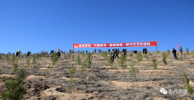 双河镇多少人口_双河镇