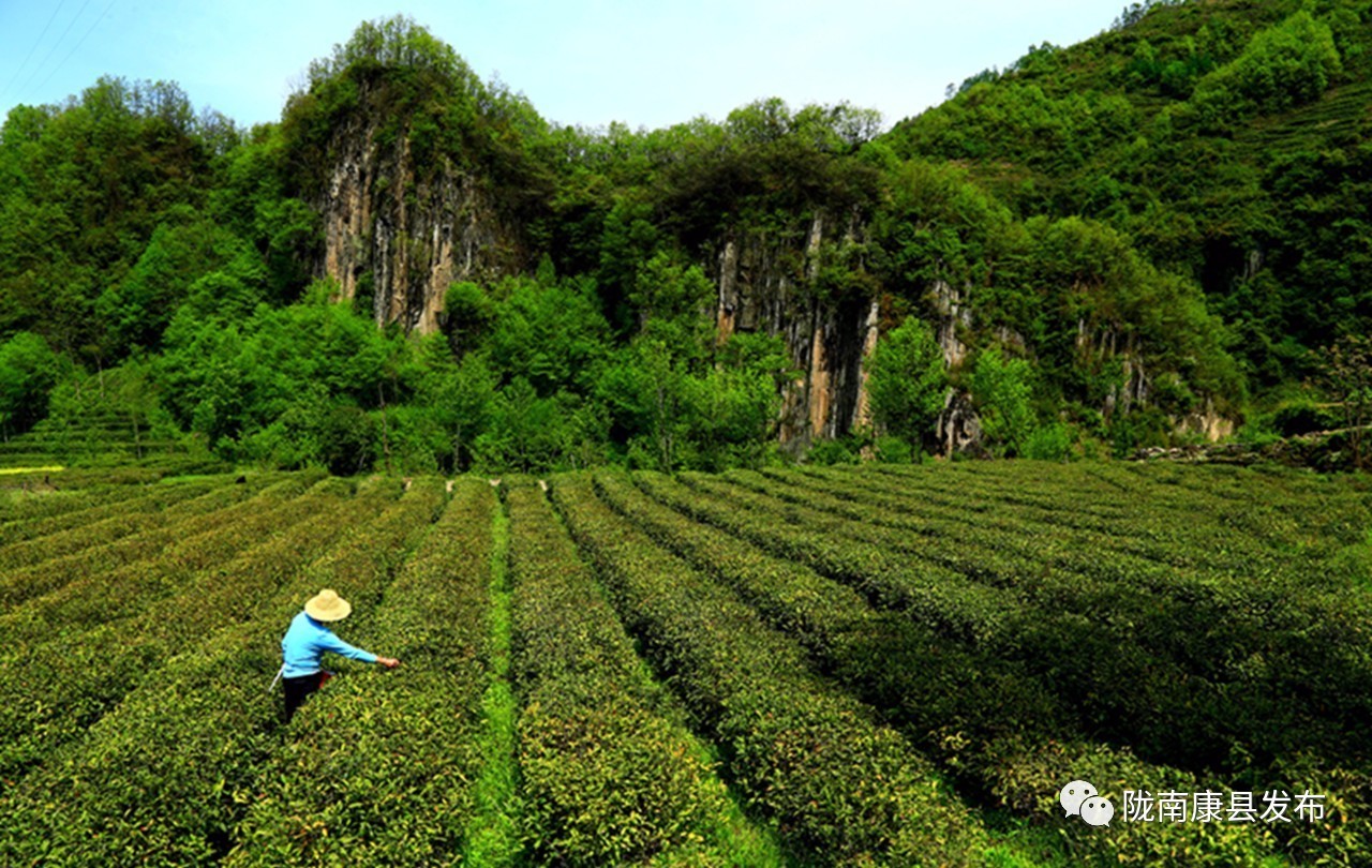 广西平南县经济林总量_广西平南县同和镇的图