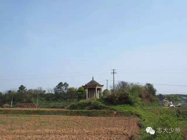 前几期《湘村发现》里向大家介绍过坪塘的曾国藩墓和跳马的左宗棠墓.