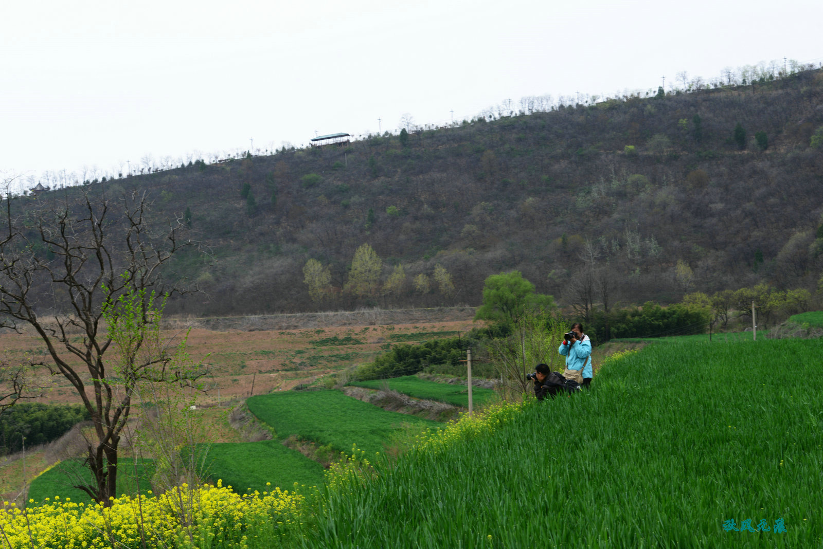 蓝田簸箕掌,静待牡丹漫山峦