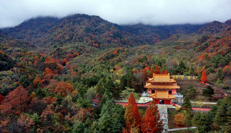 陕西名寺古刹:汉中勉县云雾寺