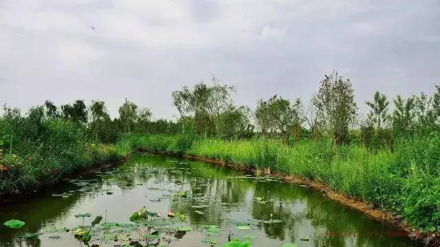 浐灞    广运潭湿地 陆港滨河公园 灞河东路西侧