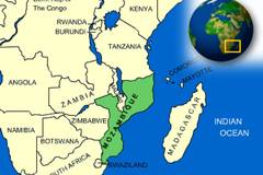 莫桑比克将在未来三个月禁止木材采伐,东非黑黄檀濒危