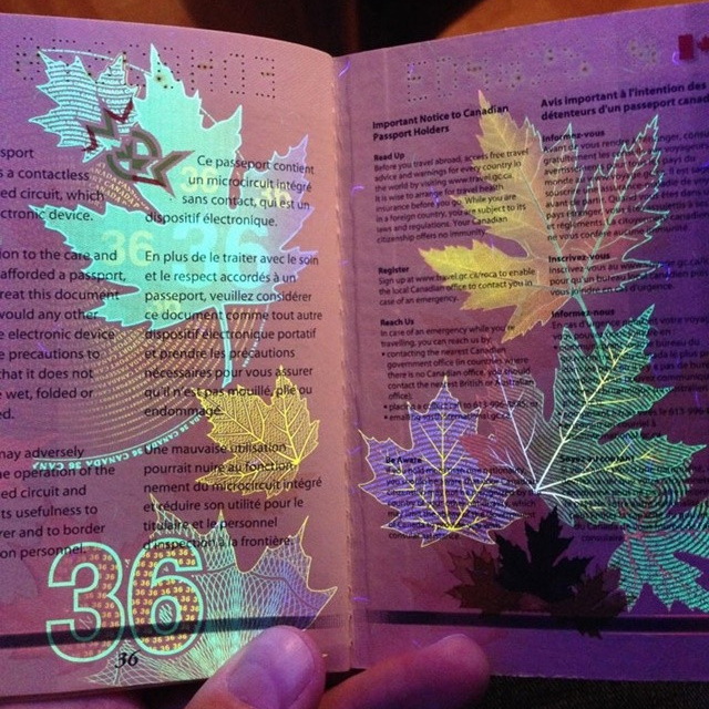 隐藏在加拿大护照里小秘密 : 打开变得五彩斑斓