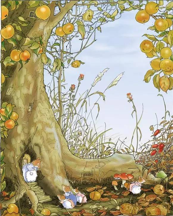 主播丨美丽阿姨绘本丨《男孩和苹果树的故事》这颗苹果树就像无私地