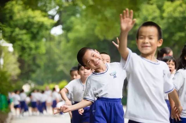 2017广州幼升小报名开始公测，手把手教你填资料，小白也能懂