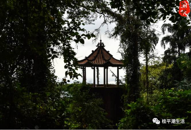 通天梯,观音岩下来便是这里 半山亭,这里有一幅绝对"半山亭,停半山