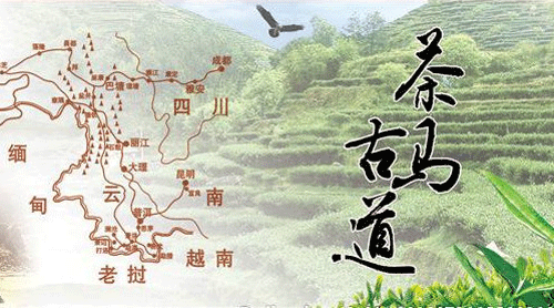 5,茶马古道▲茶马古道的路线图