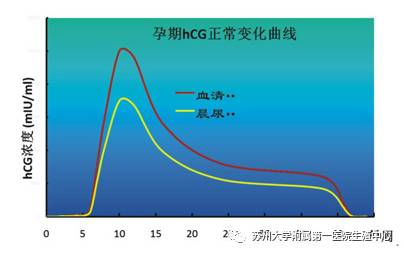 hcg和怀孕那些事儿