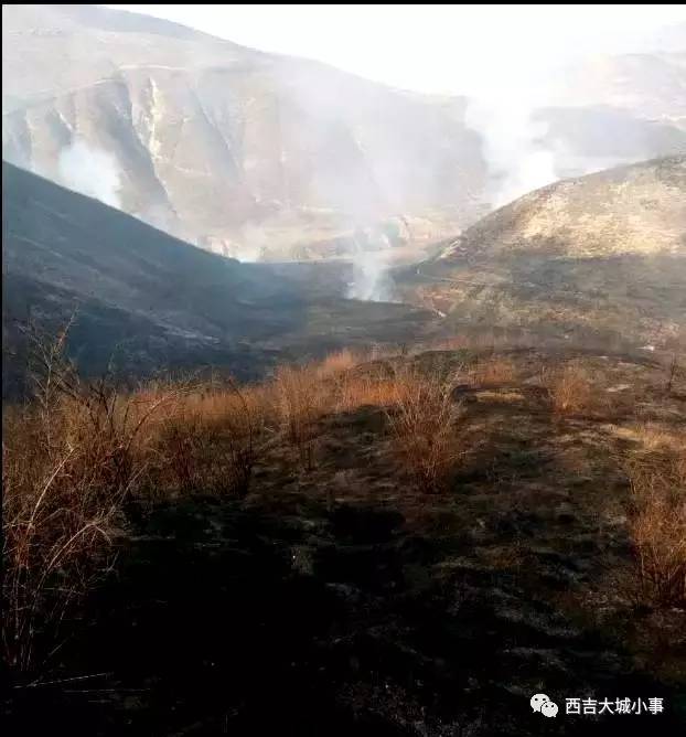 西吉沙沟突发山林大火,多个山头被烧,大寨山林场安然