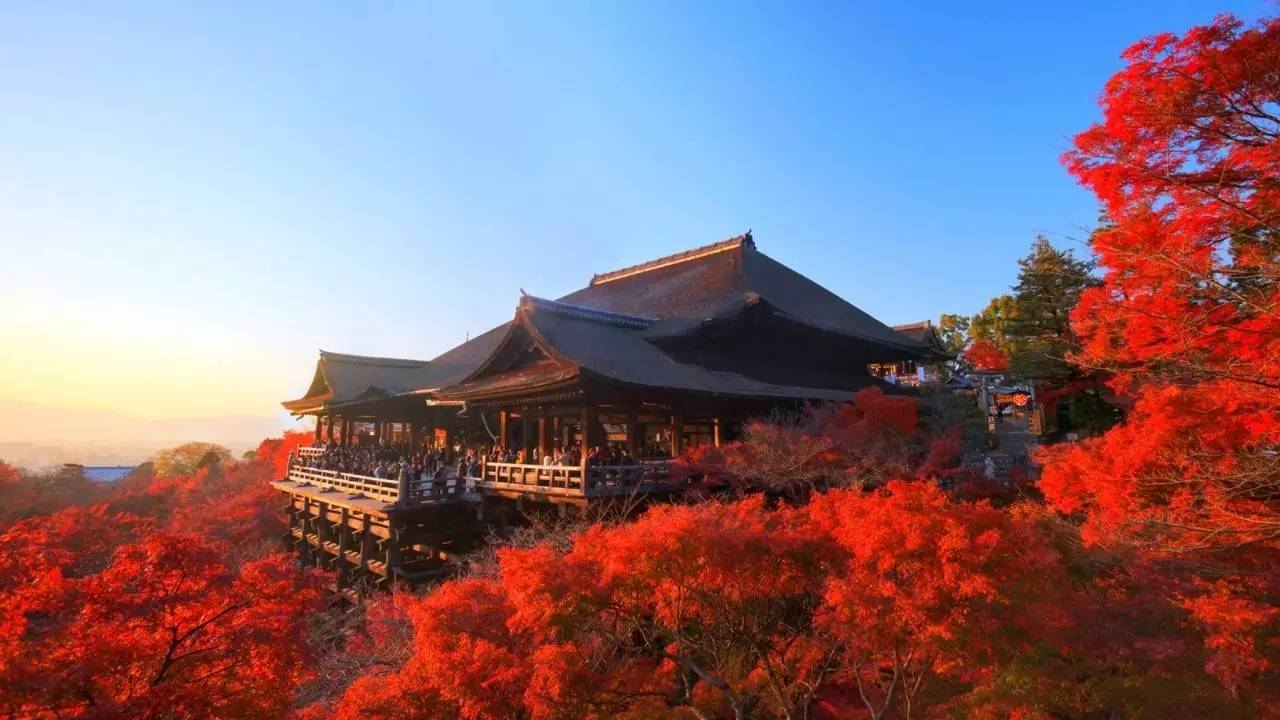 日本东京安缦+京都四季,不同的风景同样的美