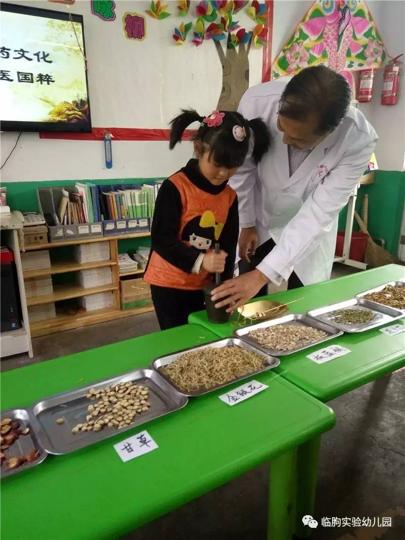 临朐县实验幼儿园朐阳分园大班级部 与中医院携手开展《神奇的中草药