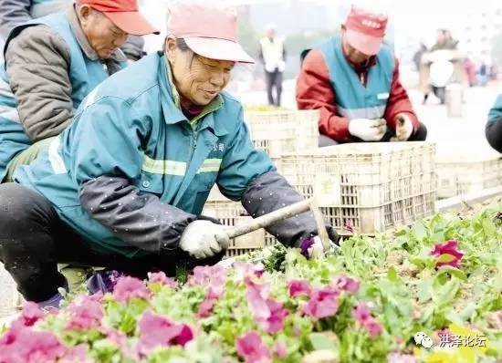 洪泽县多少人口_2013年洪泽县实验小学