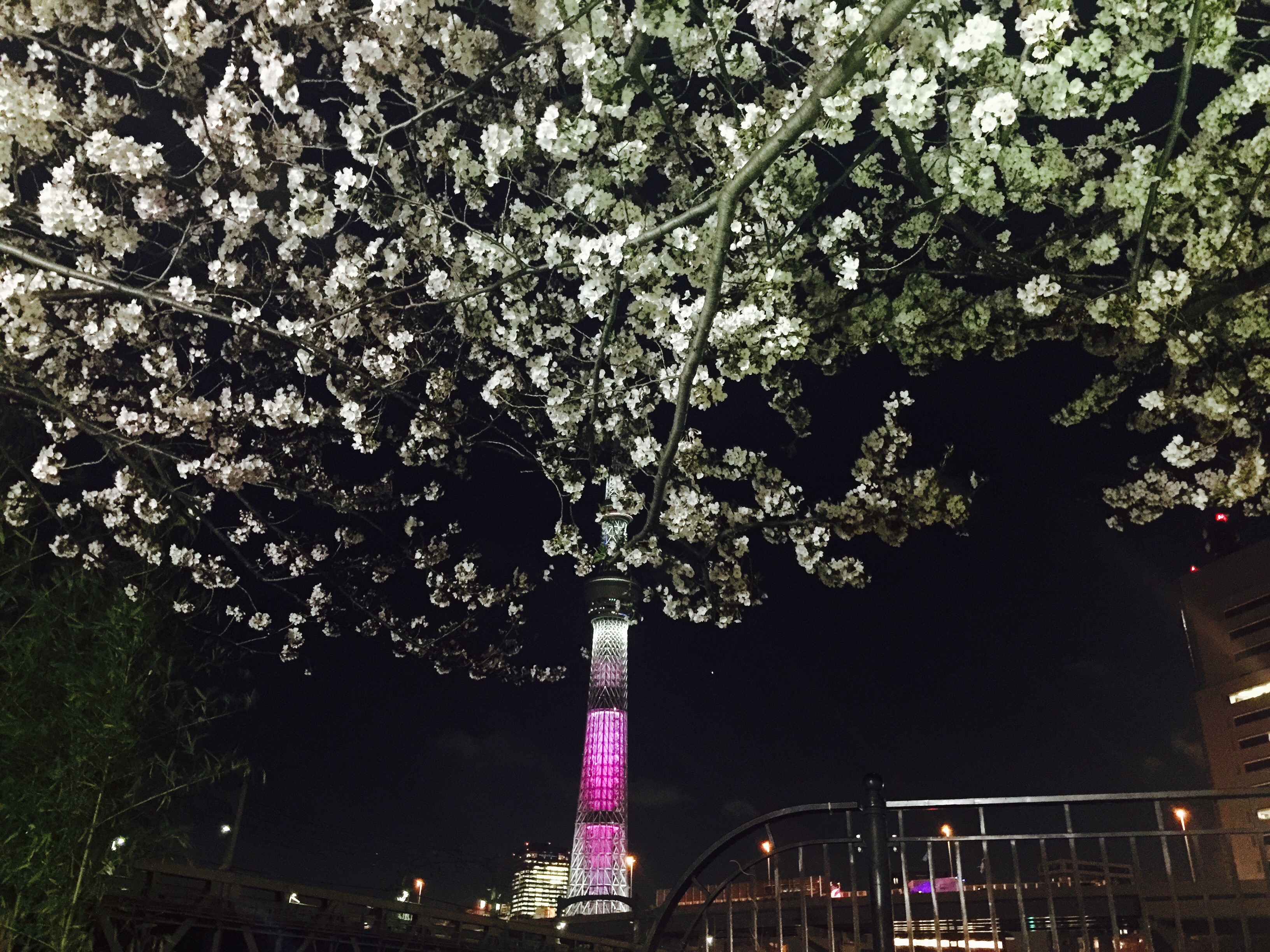 东京天空树7月起引入VR元素，美景一览无遗