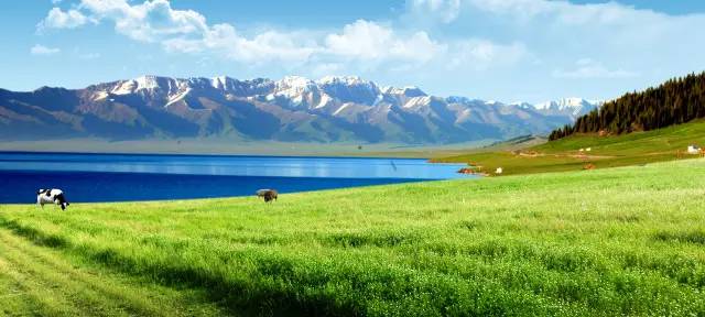 重温经典|乌兰图雅《蓝色的蒙古高原》天籁之音激情