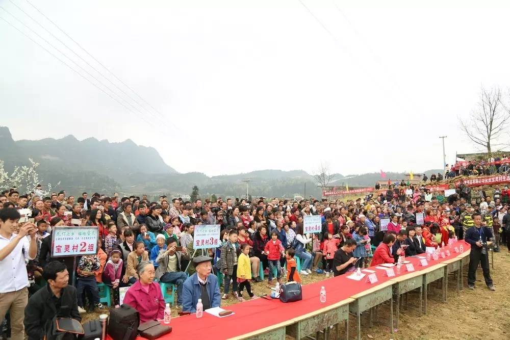 古蔺各乡镇常住人口_古蔺麻辣鸡图片