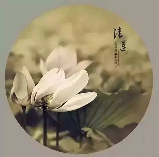 人生淡然,心胸坦荡