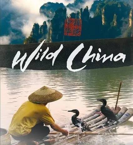 推荐四部关于中国的英文纪录片,看看外国人眼