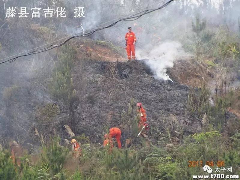 藤县津北某山林被火烧,近距离看森林消防员现场灭火