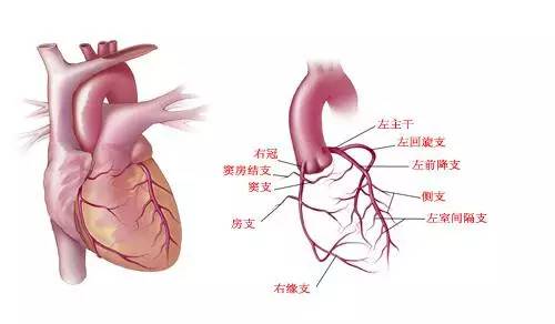 【喜讯】东莞市第三人民医院通过中国胸痛中心认证