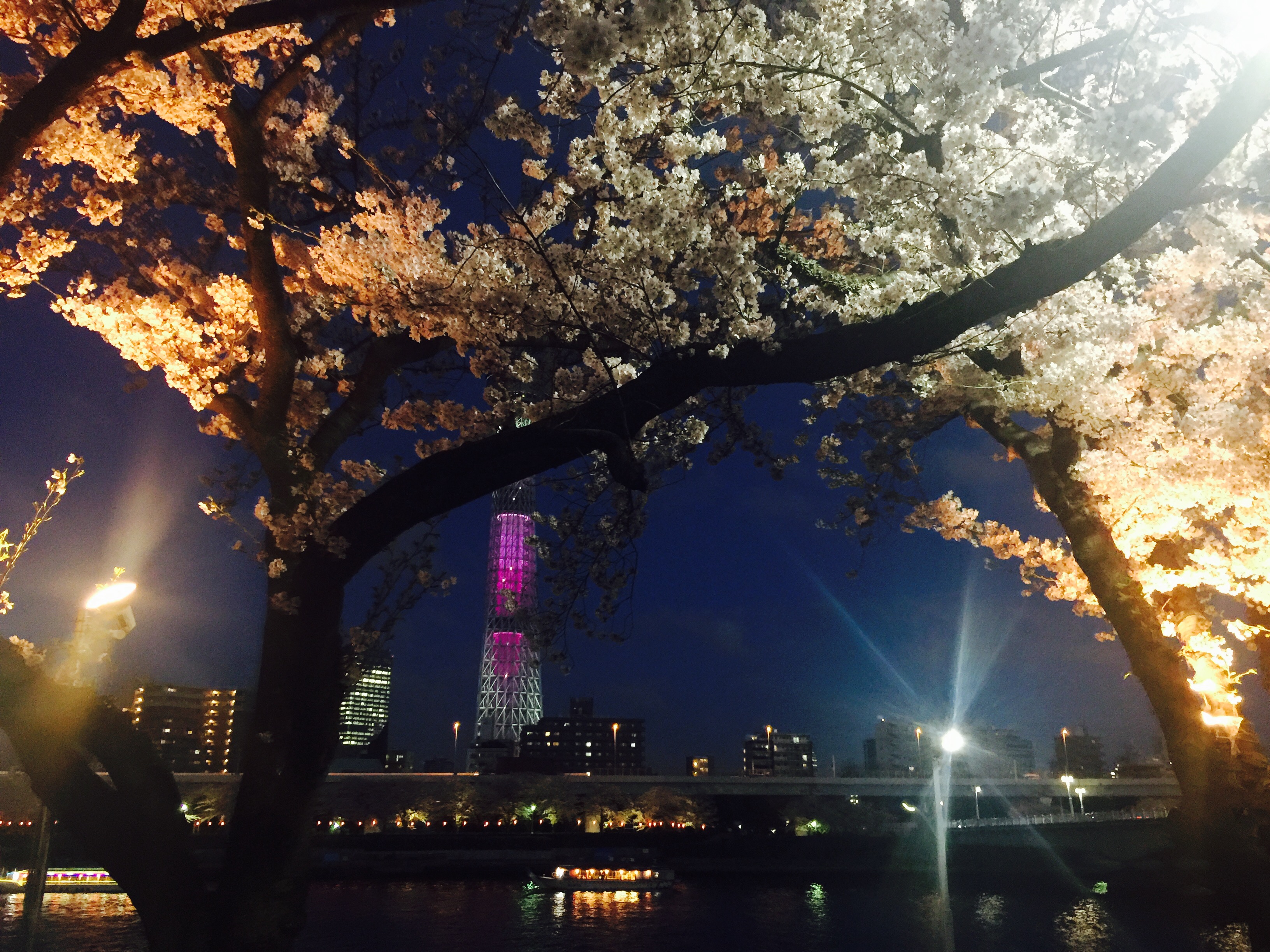 在黑暗中浮现的被点亮的东京天空树的照片素材免抠元素模板下载 - 图巨人