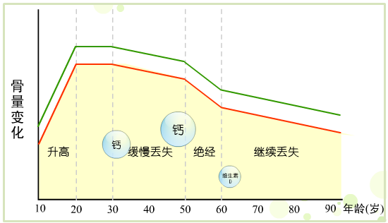 即30-35岁骨量达到最高峰时,骨峰值较维生素d和钙不足的人群,明显 骨