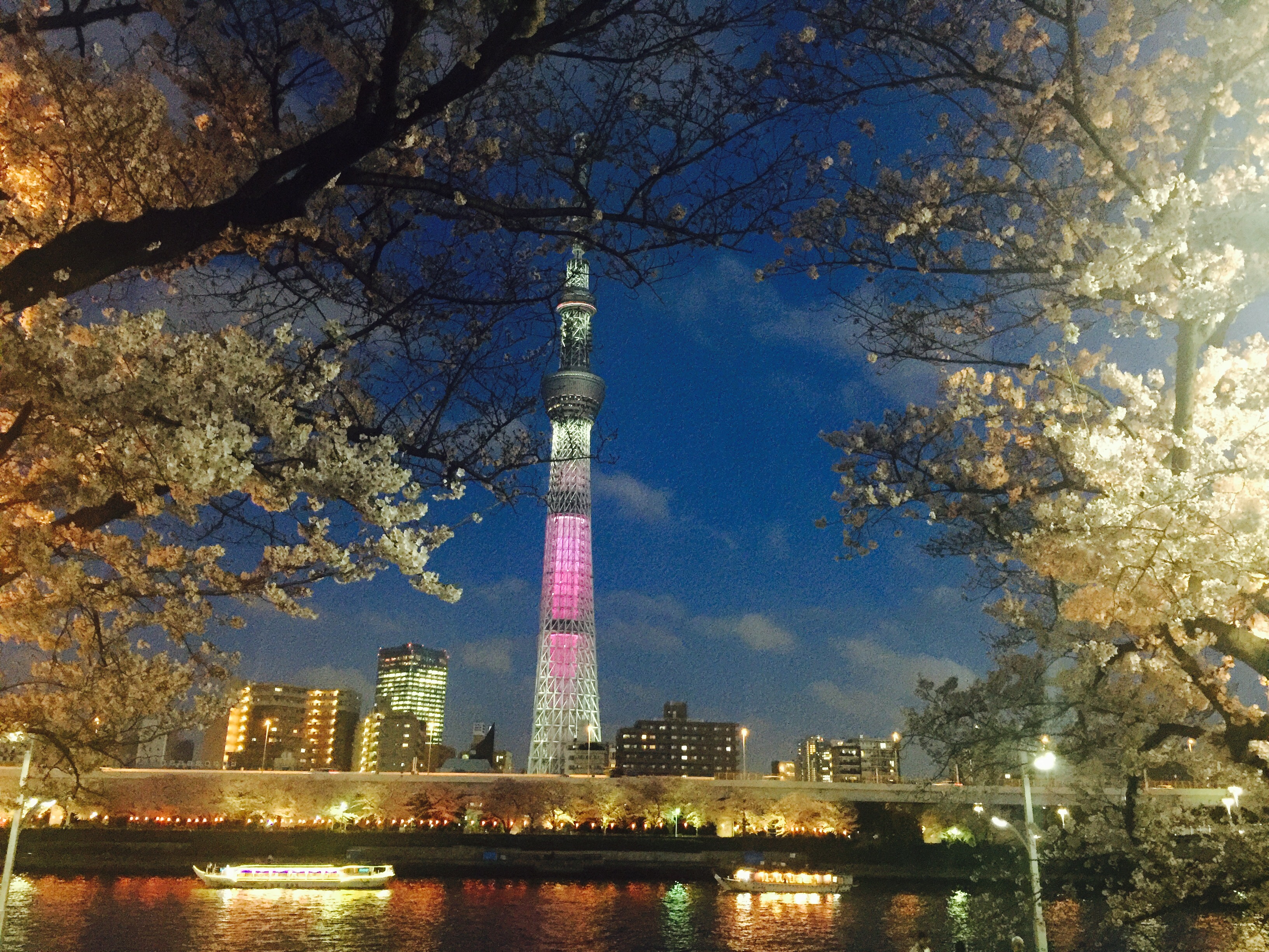 RoyWang 东京スカイツリー 东京天空树 |摄影|风光摄影|Roywang - 原创作品 - 站酷 (ZCOOL)