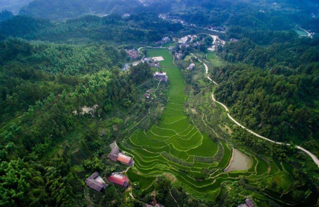 内江有多少人口_内江有粉红天鹅的地点(3)