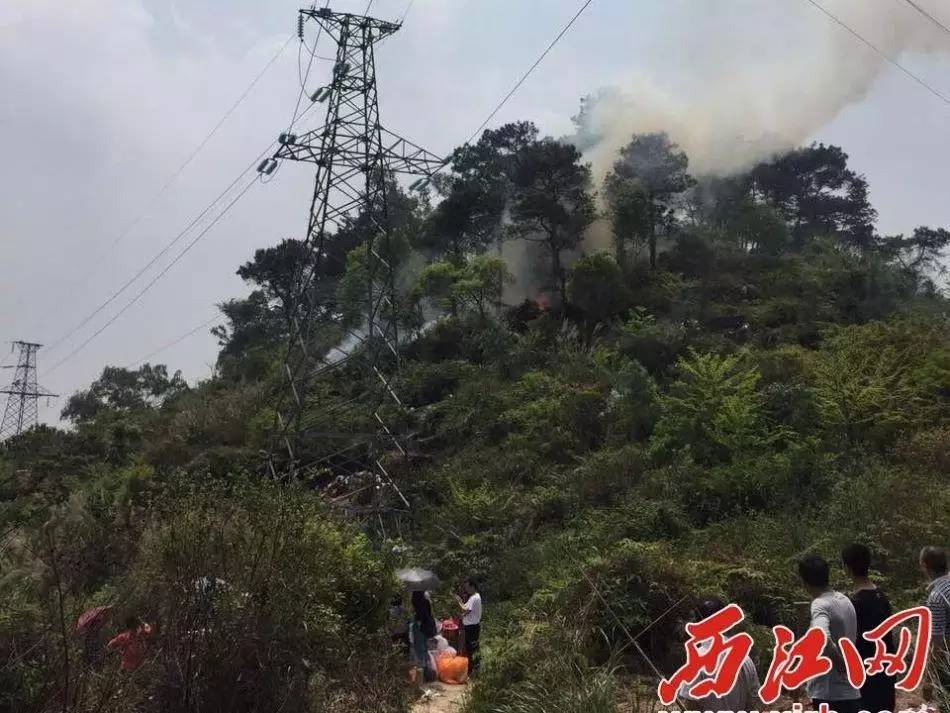 四会清塘变电站附近发现两处山火,火苗很快被扑灭了,只因这位女士一个