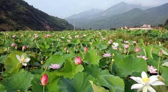 益阳多少人口_这些天,将有几万人离开益阳,从此以后(3)