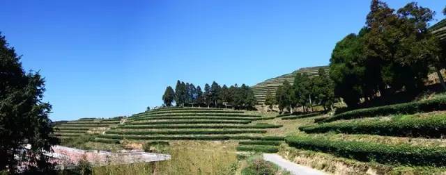 钟腾村,榜眼府第及周边土楼,高峰茶场,上官峰行政村和下官峰自然村