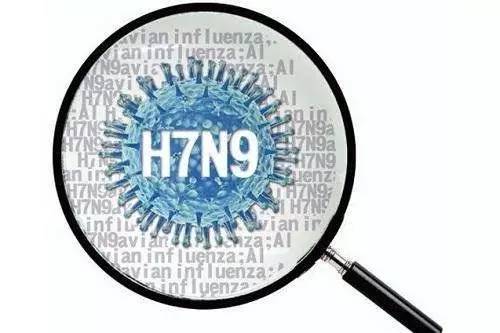 甘肃酒泉确诊1例h7n9病例,专家的预防控制建议收好了!