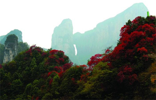 长沙张家界旅游交通,怎么坐车去景区、要多长