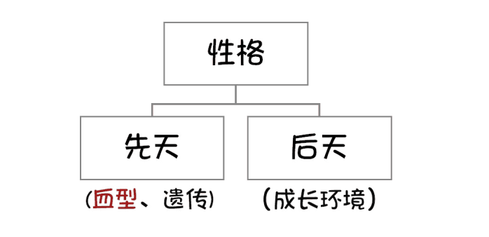 4大血型的性格特点 Ab型 精分 概率是其他的3倍