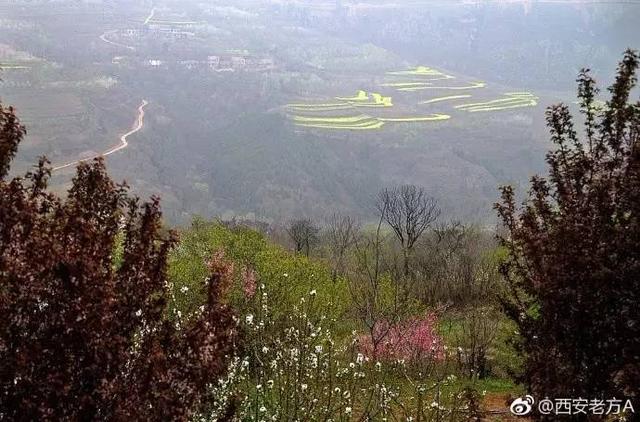 洪庆山墨玉河景区是西安市区唯一城中山 漫山