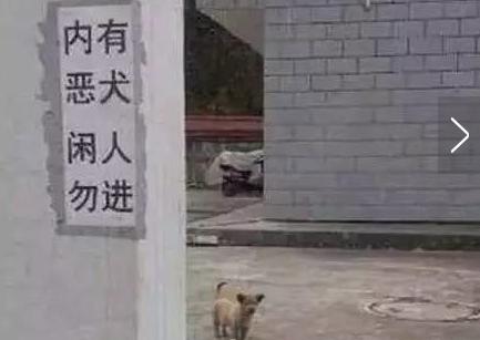 内有恶犬,请勿靠近,真的我没骗你